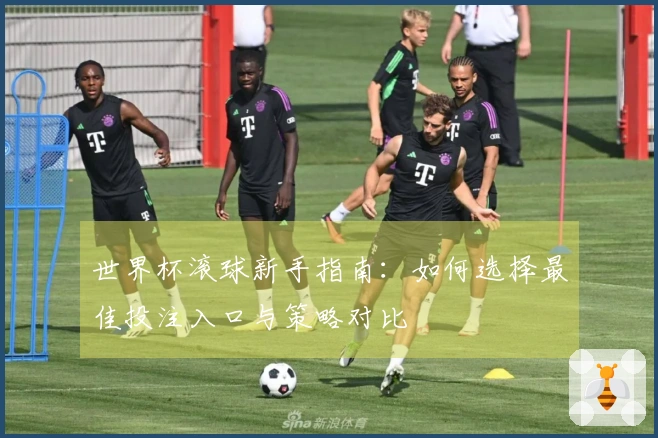 世界杯滚球新手指南：如何选择最佳投注入口与策略对比