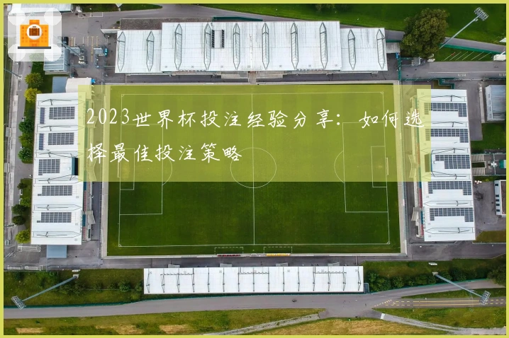 2023世界杯投注经验分享：如何选择最佳投注策略