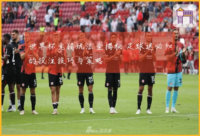 世界杯竞猜玩法全揭秘 足球迷必知的投注技巧与策略