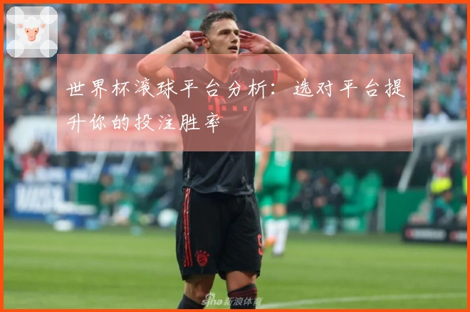世界杯滚球平台分析：选对平台提升你的投注胜率