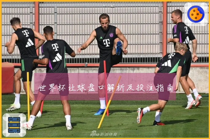 世界杯让球盘口解析及投注指南