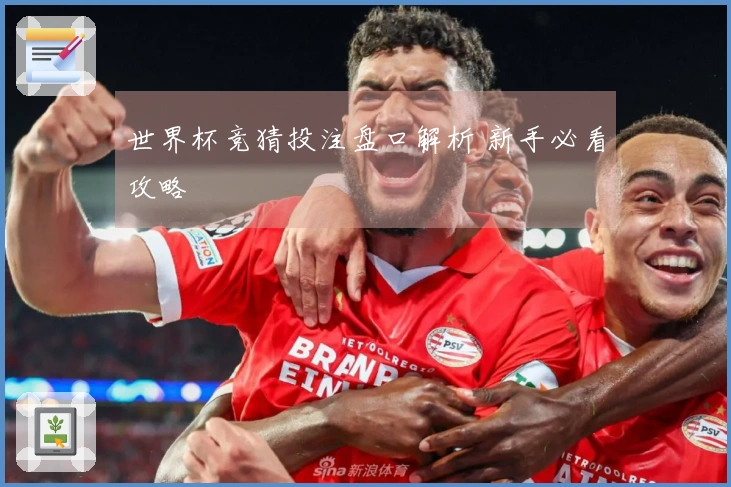 世界杯竞猜投注盘口解析 新手必看攻略